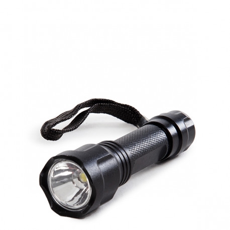LED Taschenlampe 100Lm schwarz